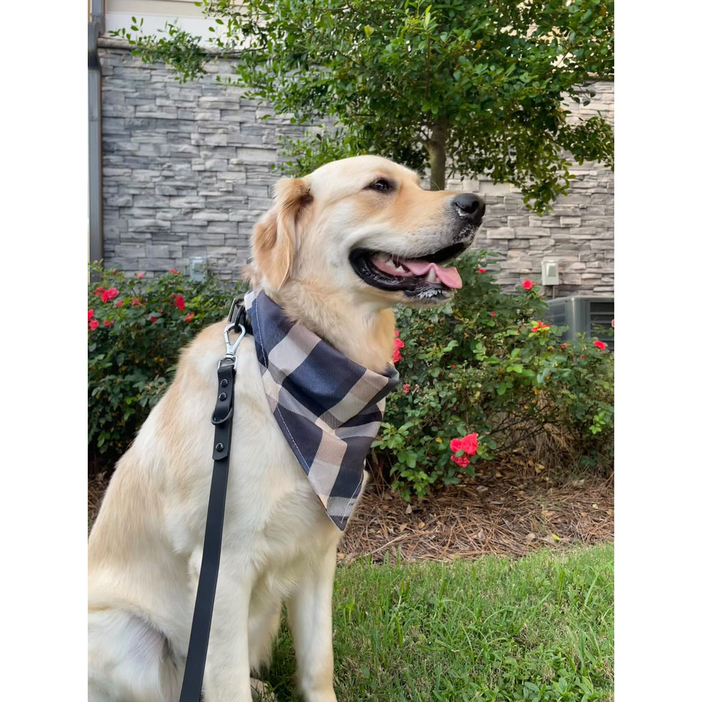 ‘Pupkin’ Patch / Plaid Bandana - Reversible - Jersey Border Collars