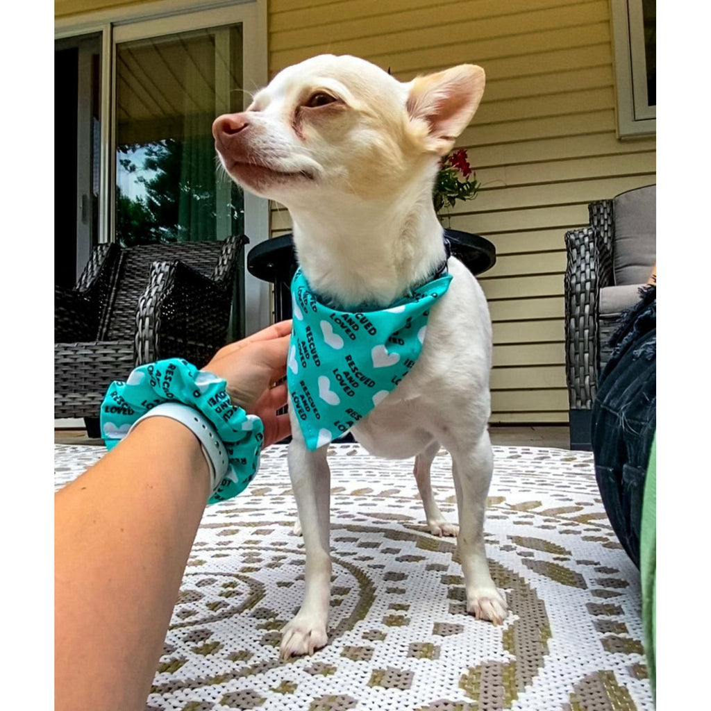 Rescued & Loved Bandana - Jersey Border Collars