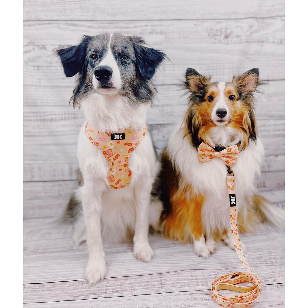 Barkfest - Bundle Set - Jersey Border Collars