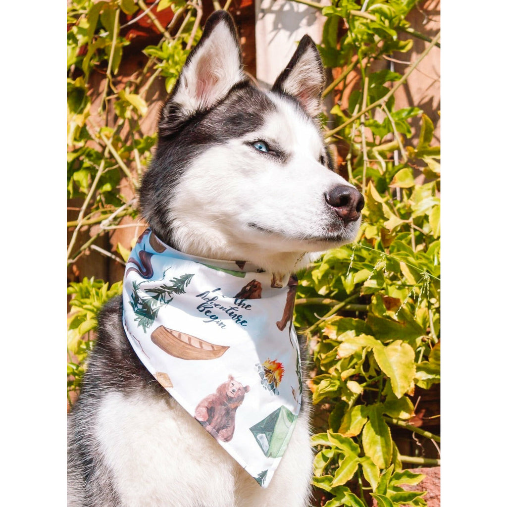 Adventure Bandana - Jersey Border Collars