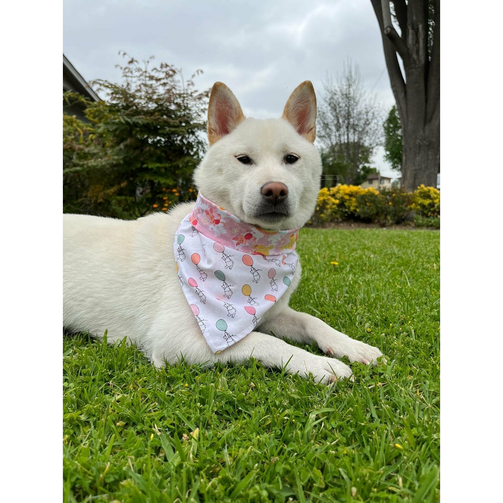 Winnie The Pooh Bandana - Reversible - Jersey Border Collars