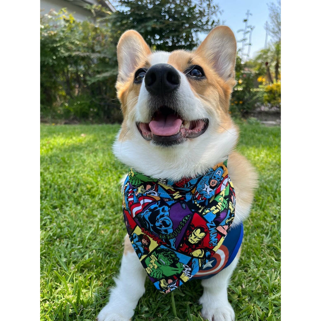 Marvel Bandana - Jersey Border Collars