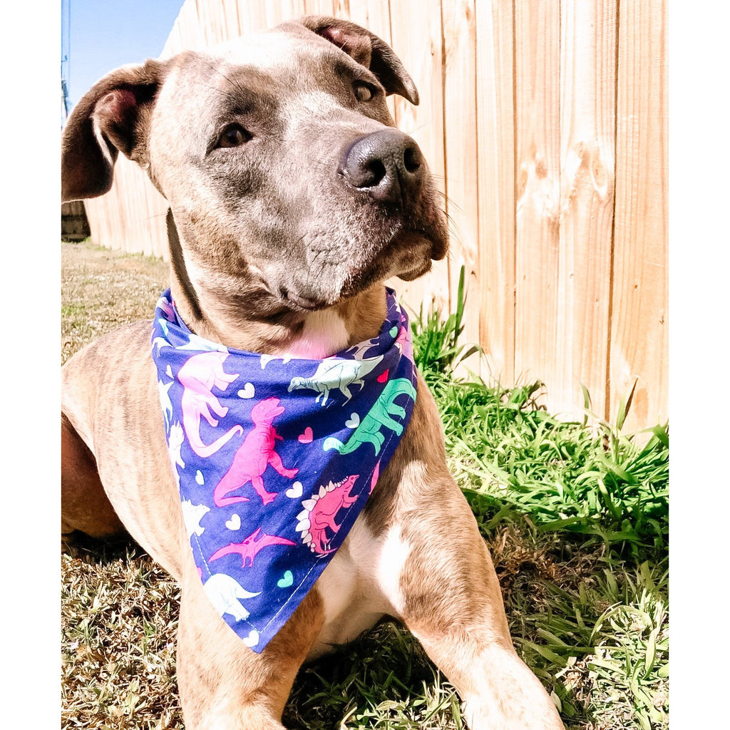 Dinosaur Hearts Bandana - Jersey Border Collars