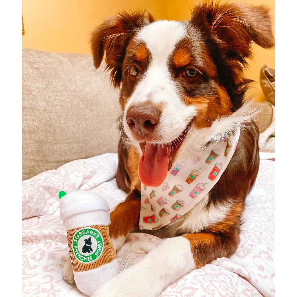 Starbarks Frappuccino Bandana - Jersey Border Collars