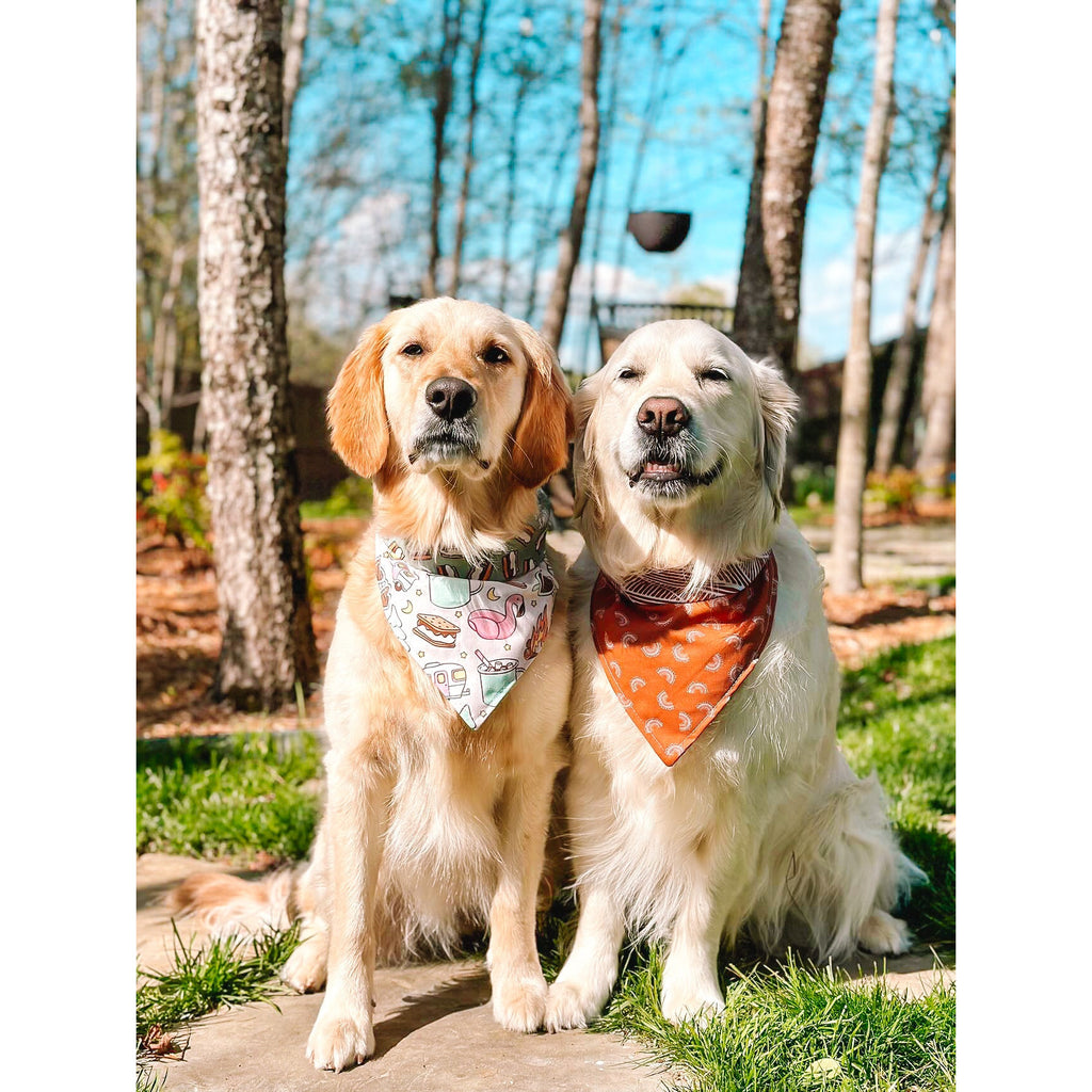 Rustic Rainbow Bandana - Reversible - Jersey Border Collars