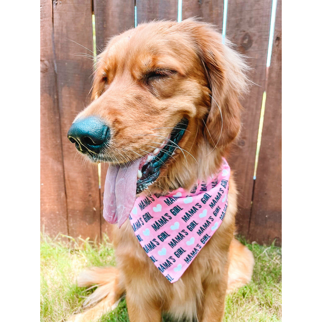 Mama's Girl Bandana - Jersey Border Collars