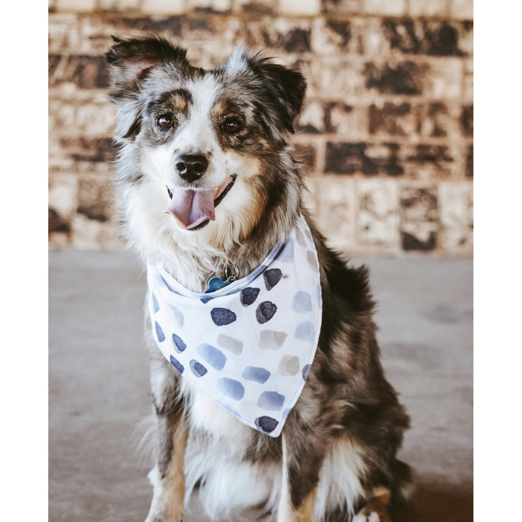 River Stones Bandana - Jersey Border Collars