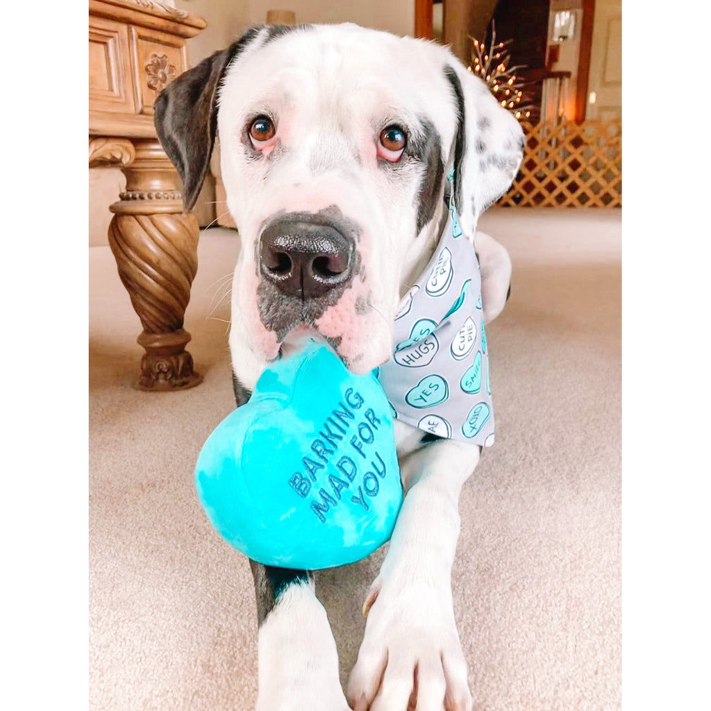 Tiffany Blue Conversation Hearts Bandana - Jersey Border Collars