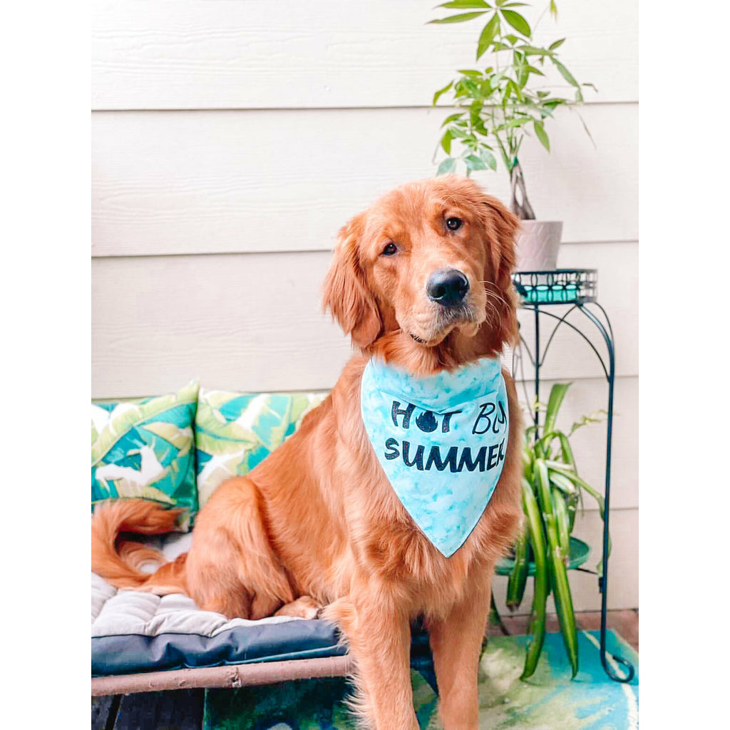 Hot Dog Summer Bandana - Jersey Border Collars