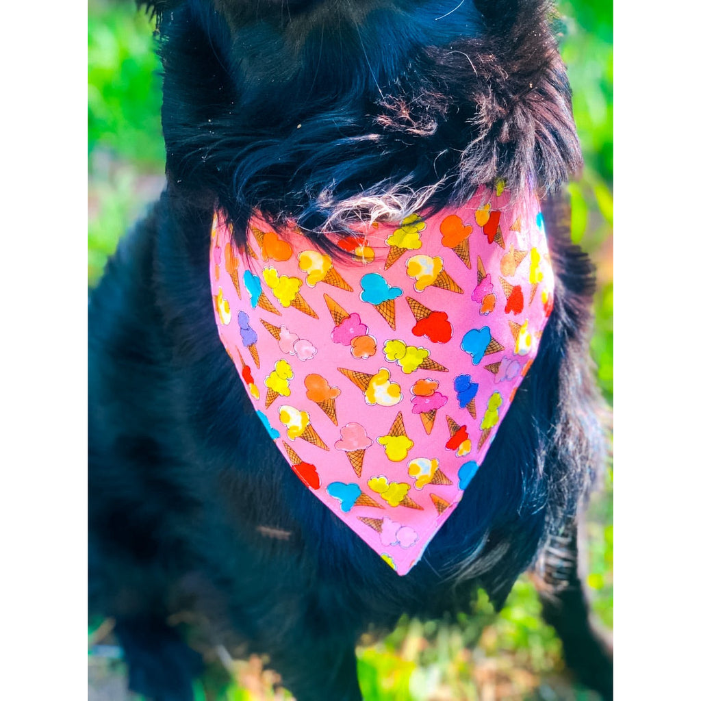 It’s A Icecream Party Bandanna - Jersey Border Collars