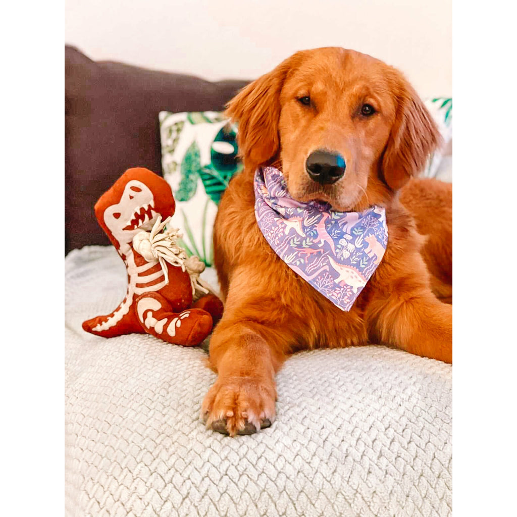 Purple Dino - mite Bandana - Jersey Border Collars