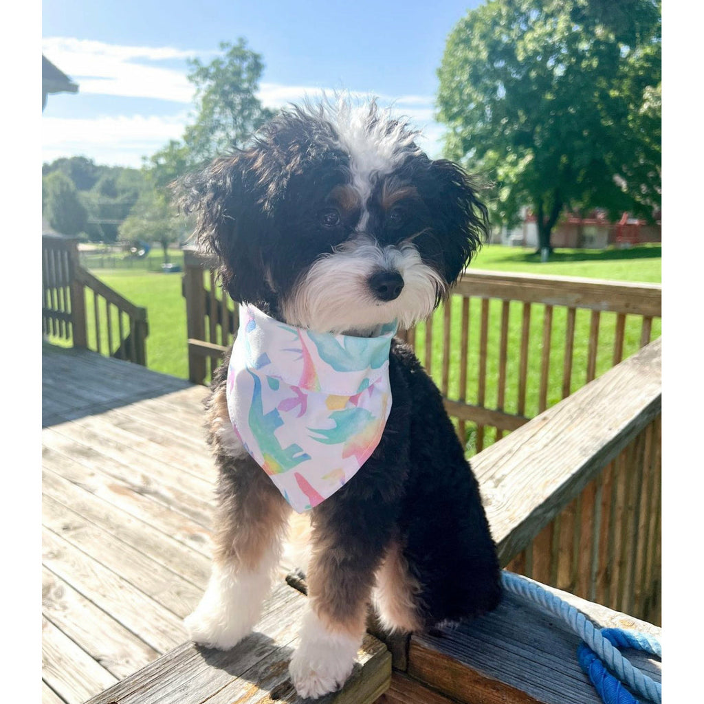 Pastel Dinos Bandana - Jersey Border Collars