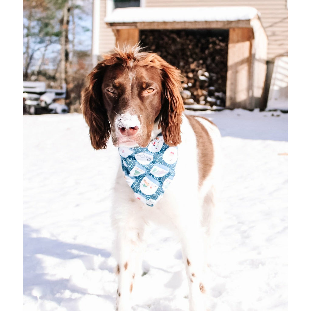 Snow Globe Bandana - Jersey Border Collars