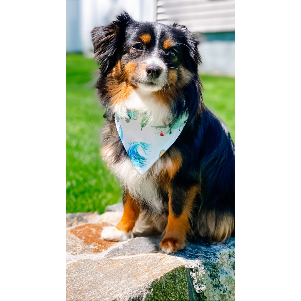 Vacation Vibes / Pastel Stripes Bandana - Reversible - Jersey Border Collars