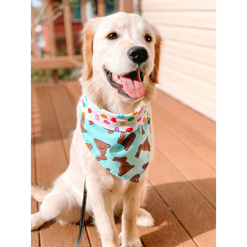 Chocolate Bunny / Jelly Beans Bandana - Reversible - Jersey Border Collars