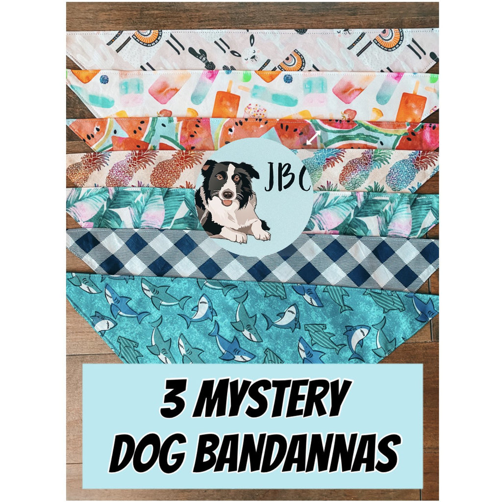 3 Mystery Dog Bandannas - Jersey Border Collars