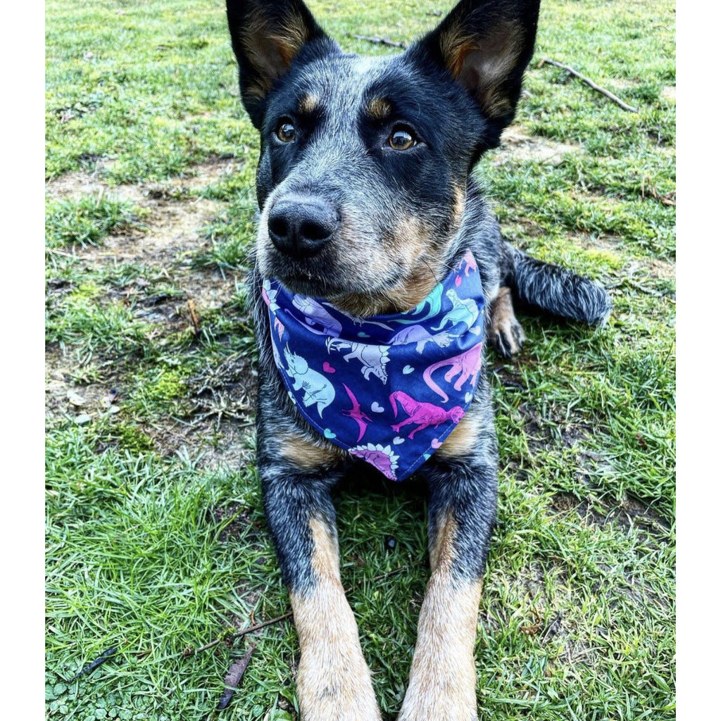 Dinosaur Hearts Bandana - Jersey Border Collars