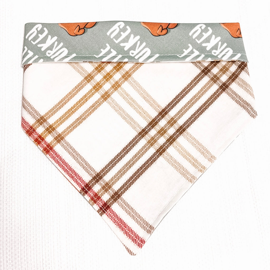 Little Turkey / Plaid Bandana - Reversible - Jersey Border Collars